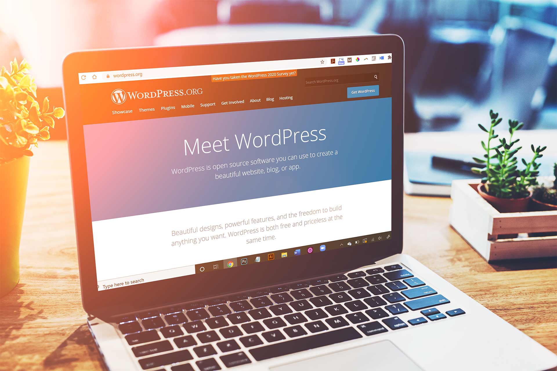 Meet WordPress